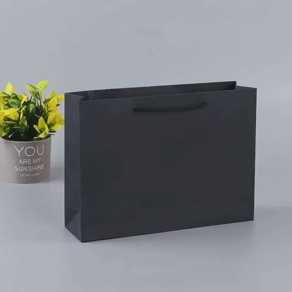 Personalized Business Gift Bags, Any Logo Gift Bag For Clients, Party favor Paper Bag